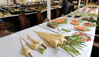 Prize parsnips take centre stage!